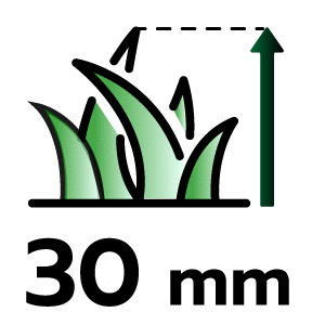 feature icon