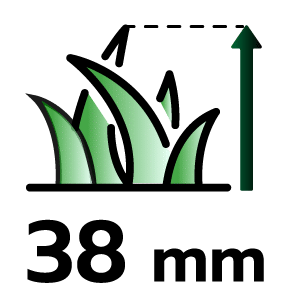 feature icon