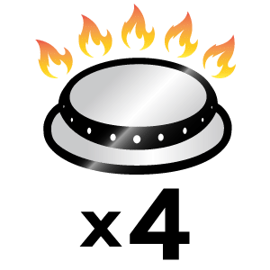feature icon