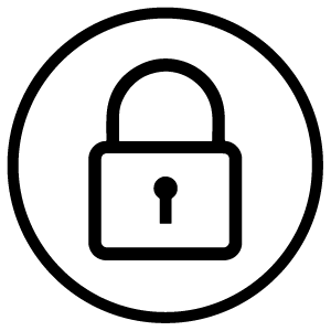 feature icon
