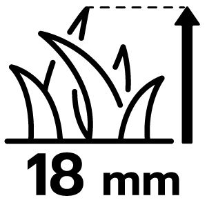 feature icon