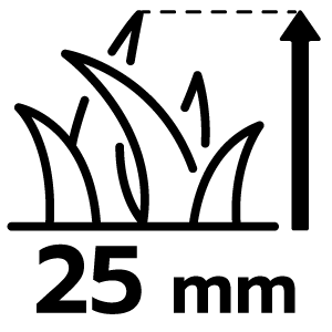 feature icon