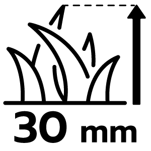 feature icon