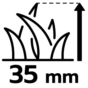 feature icon