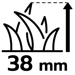 feature icon