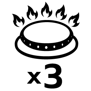 feature icon