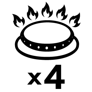 feature icon