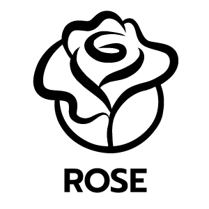 feature icon
