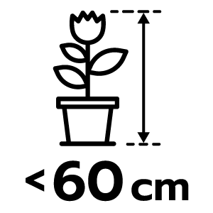 feature icon
