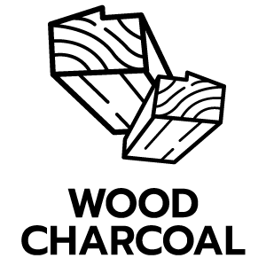 feature icon