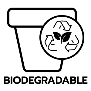 feature icon
