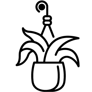 feature icon