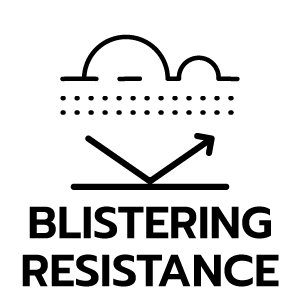 feature icon