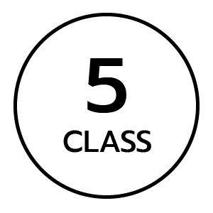 feature icon