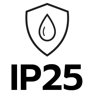 feature icon