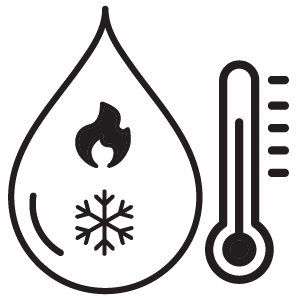 feature icon