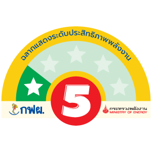 ประหยัดไฟเบอร์ 5 1 ดาว