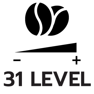 feature icon