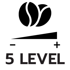 feature icon