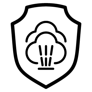 feature icon