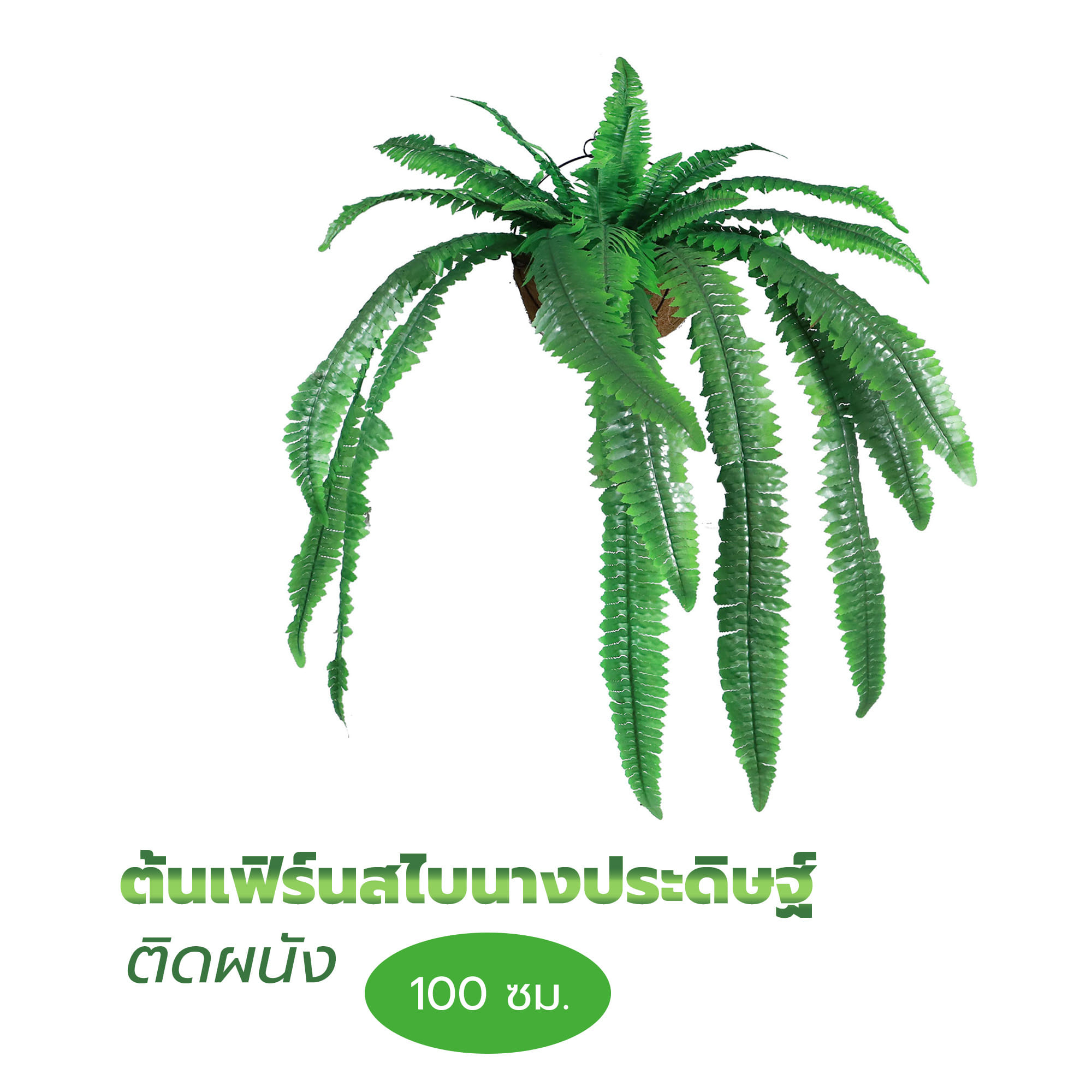 ต้นเฟิร์นสไบนางประดิษฐ์ติดผนัง ME LIVING 100 ซม. สีเขียว