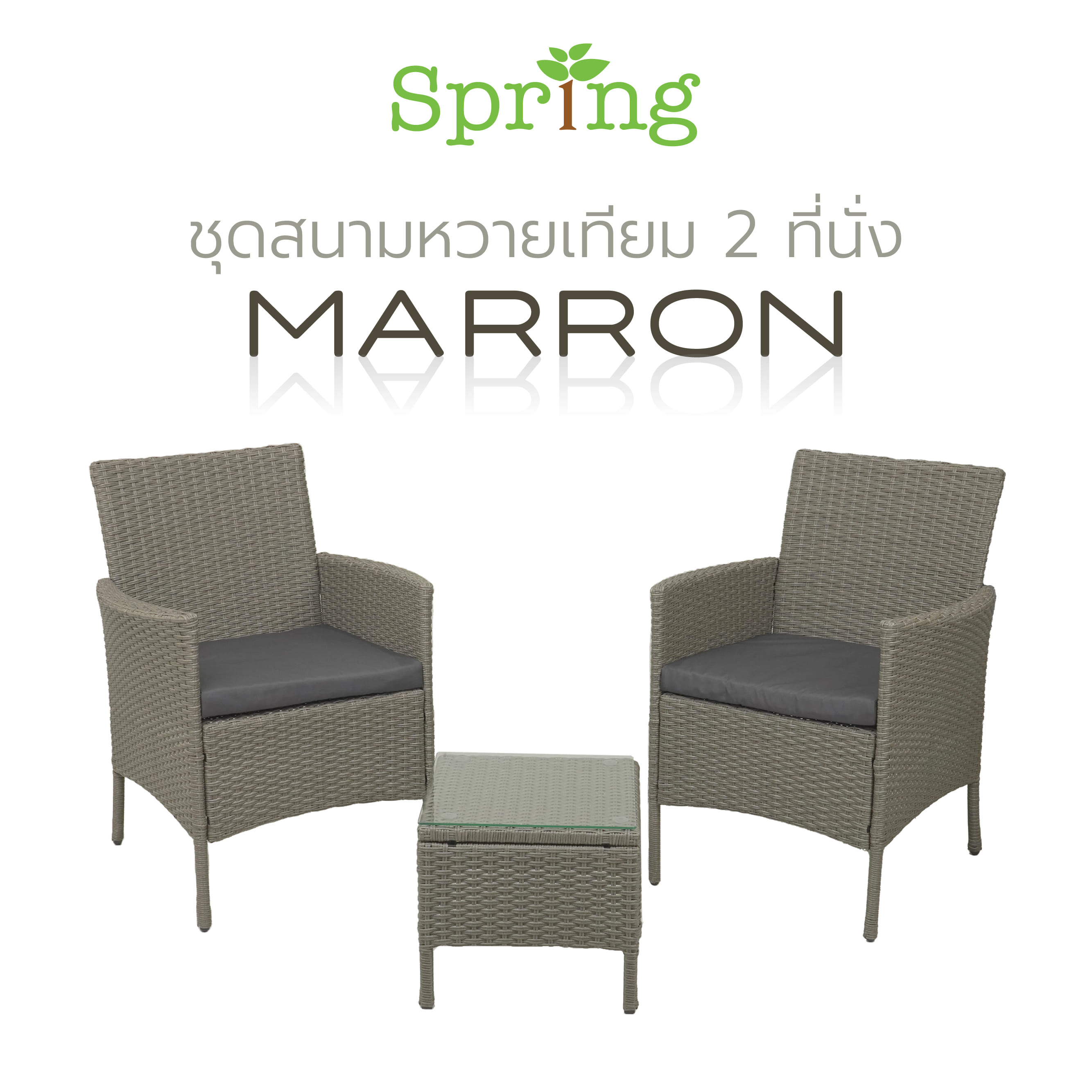 ชุดสนามหวายเทียม 2 ที่นั่ง SPRING MARRON สีเทา