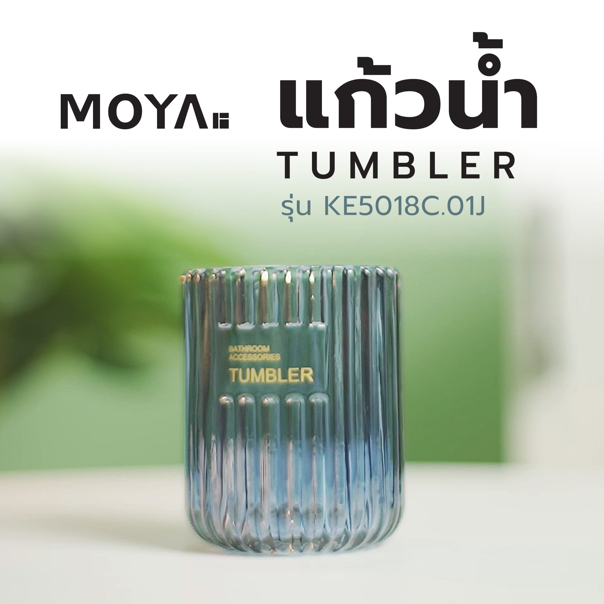 แก้วน้ำ MOYA KE5018C.01J