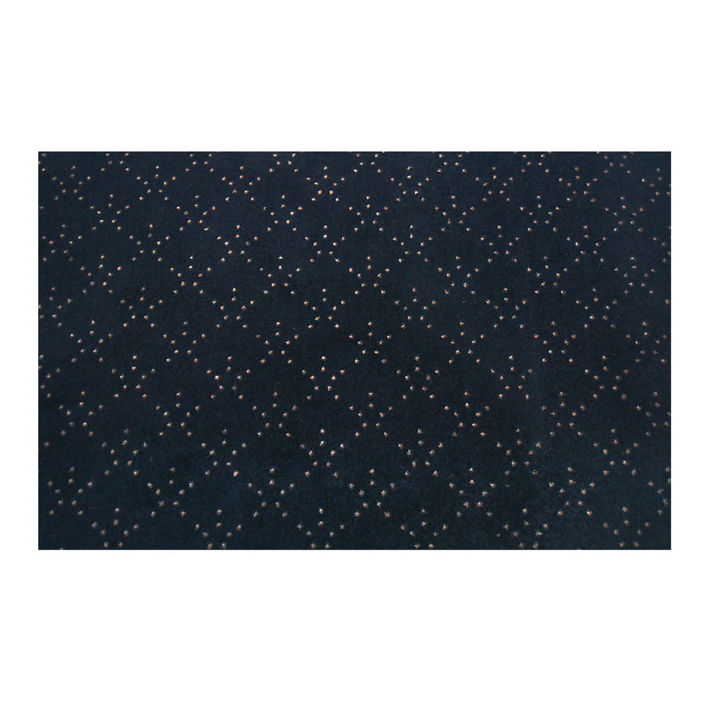 พรมเช็ดเท้าดักฝุ่น PRAW DE LUCKY BLACK 120X180 ซม. สีดำ