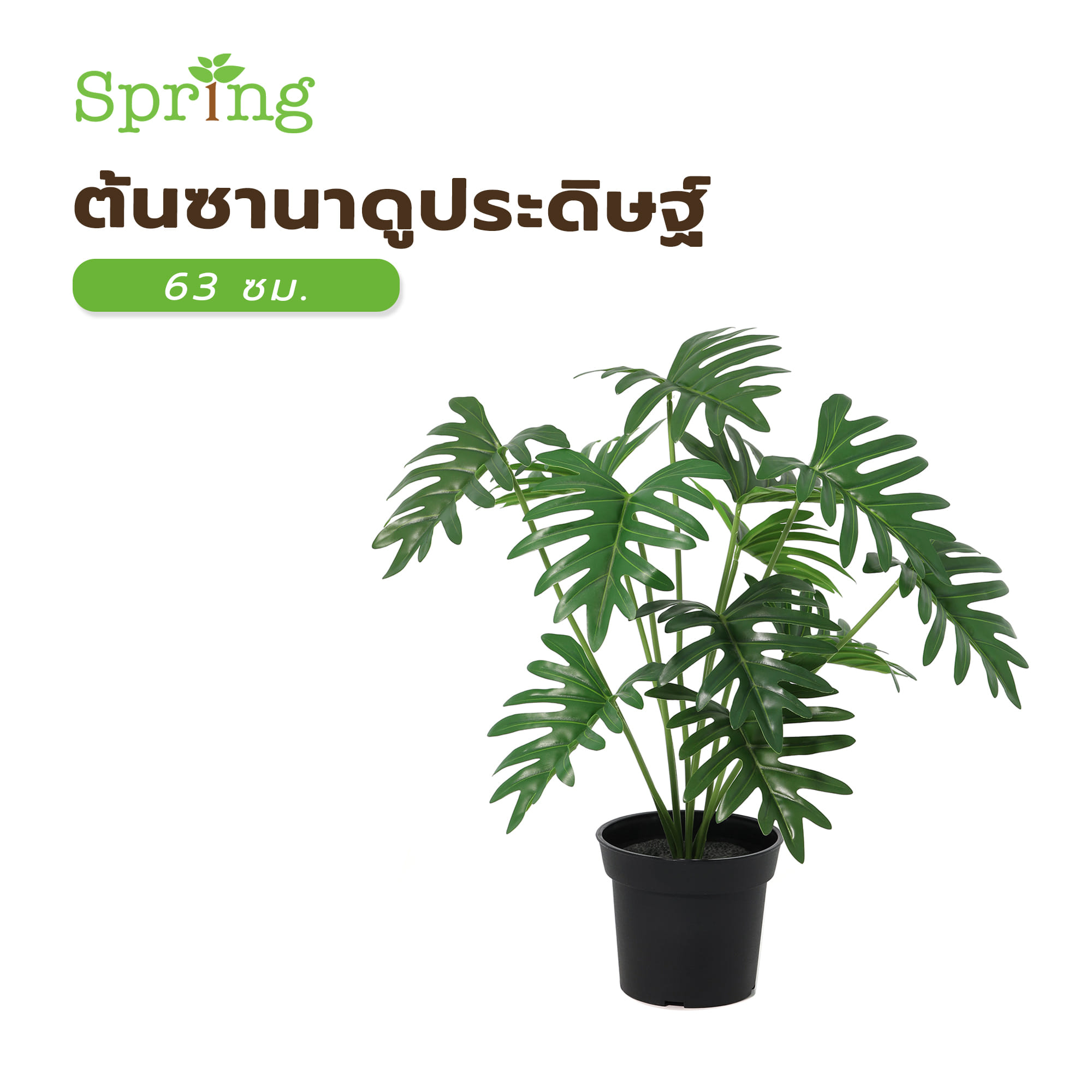 ต้นซานาดูประดิษฐ์ SPRING 63 ซม.