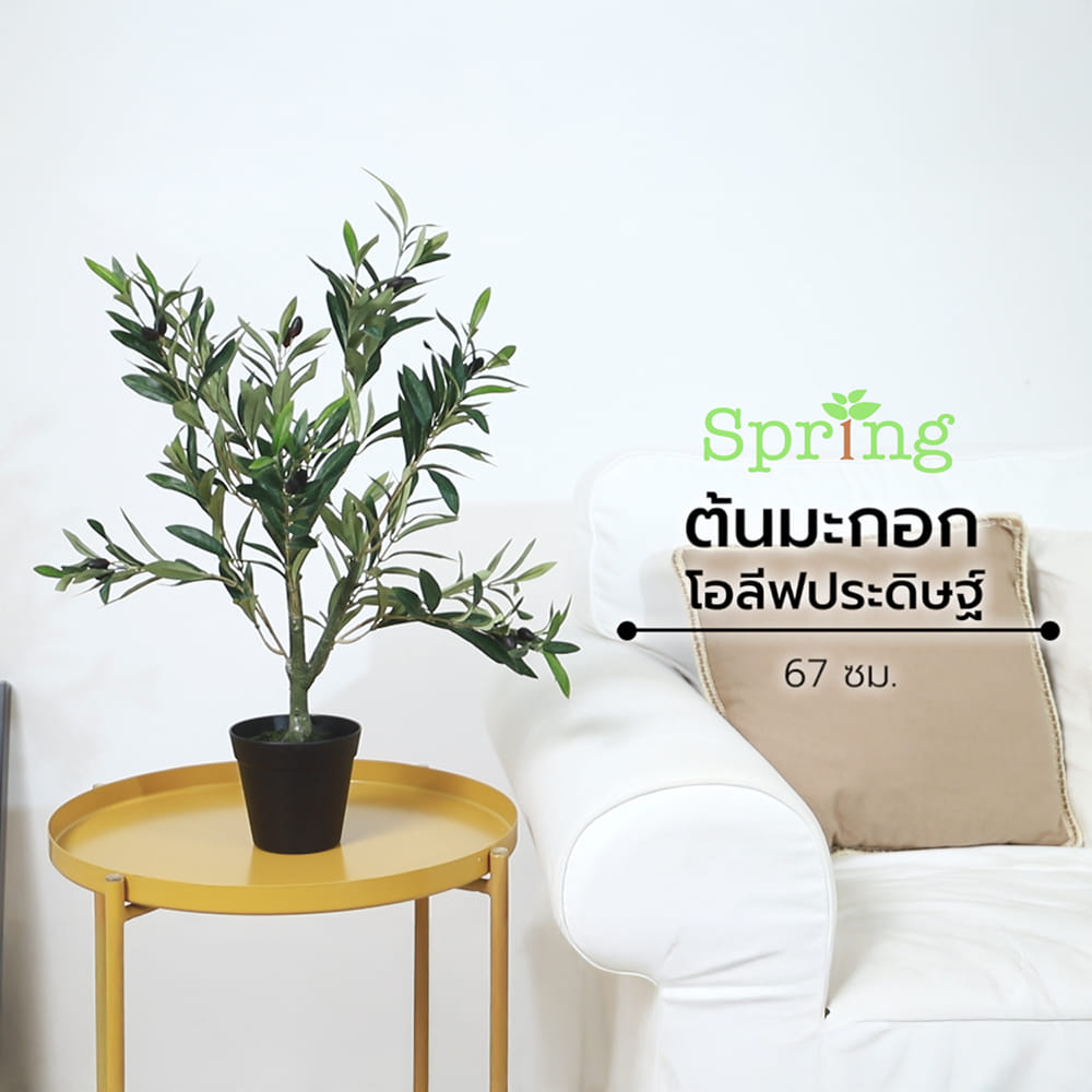 ต้นมะกอกโอลีฟประดิษฐ์ SPRING 67 ซม.