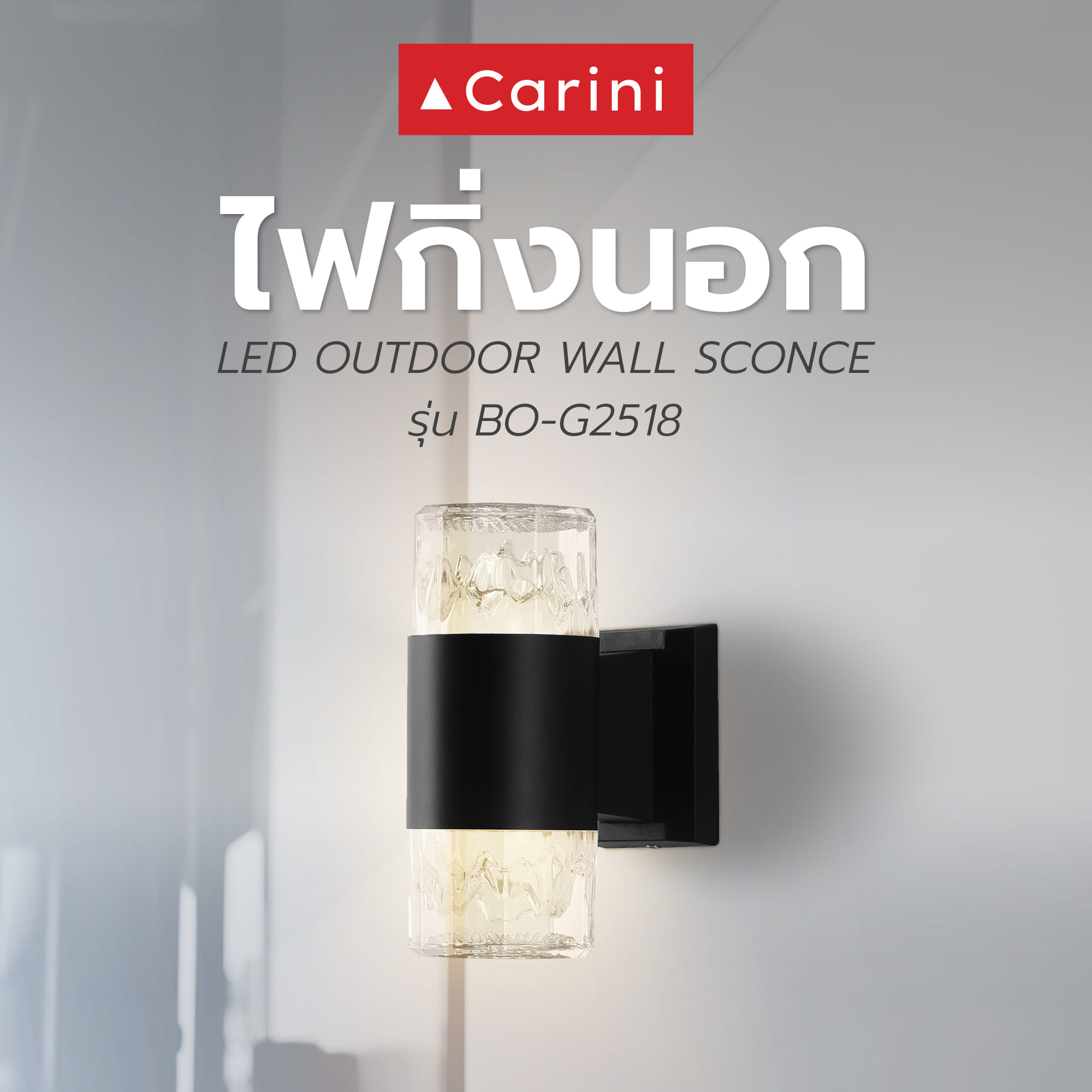 ไฟกิ่งภายนอก LED CARINI BO-G2518 10 วัตต์ WARM WHITE สีดำ