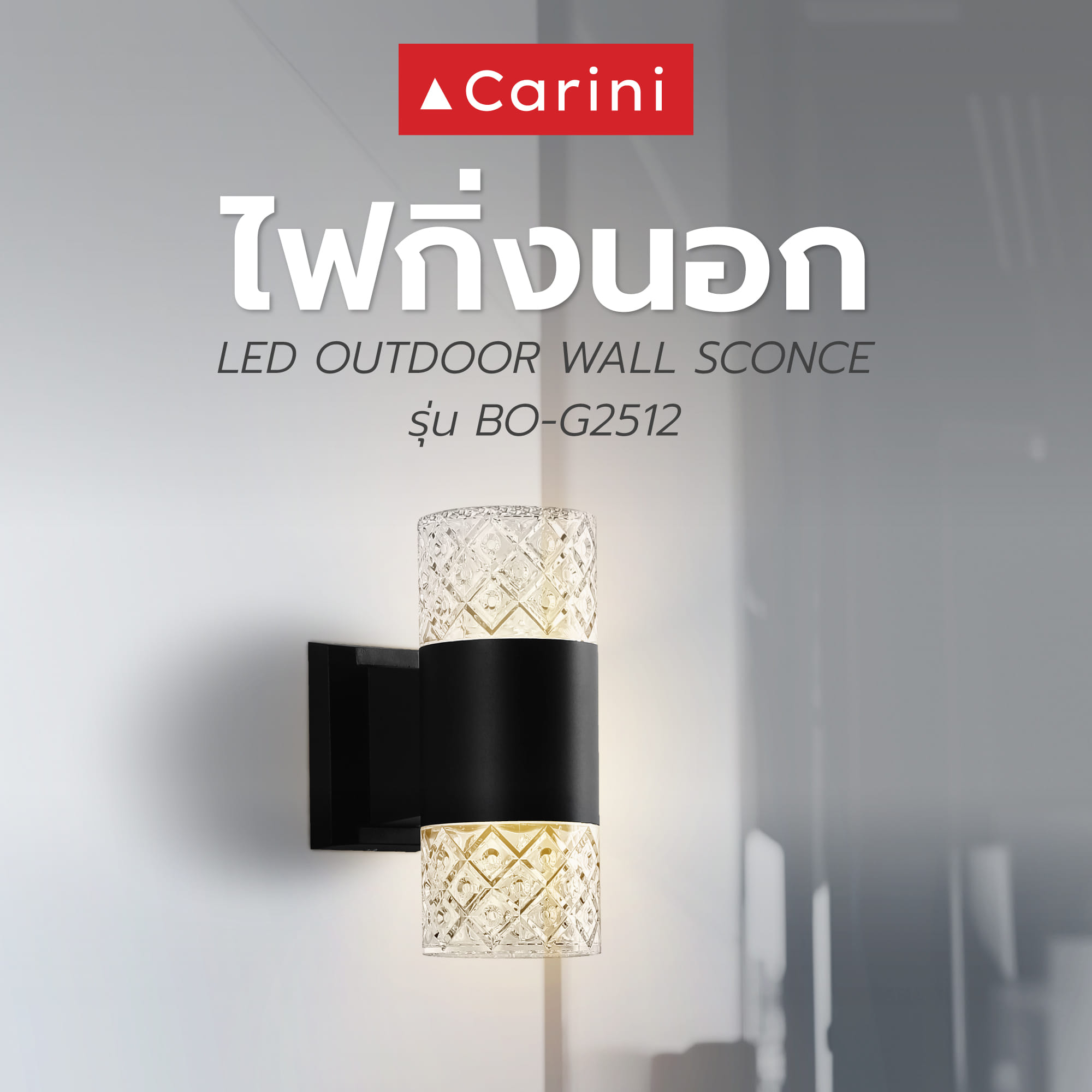 ไฟกิ่งภายนอก LED CARINI BO-G2512 10 วัตต์ WARM WHITE สีดำ