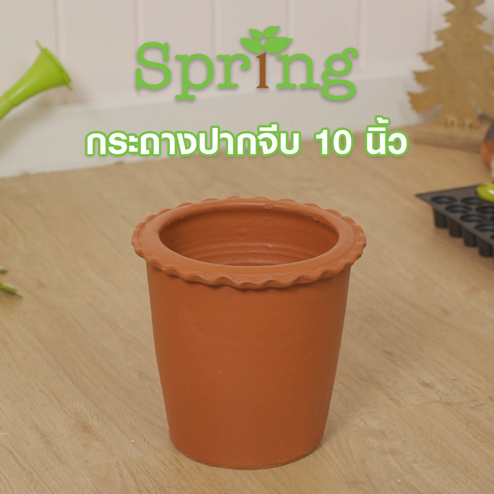 กระถางปากจีบ SPRING 10 นิ้ว