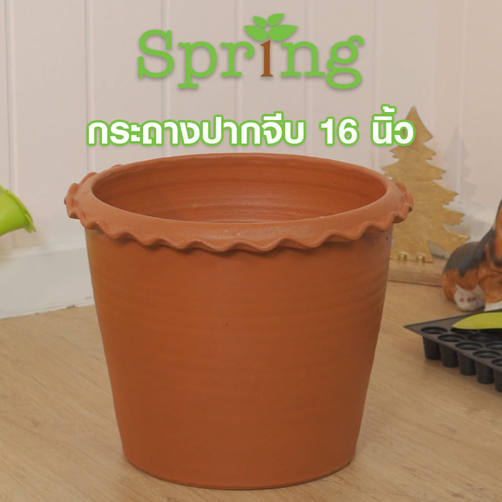 กระถางปากจีบ SPRING 16 นิ้ว