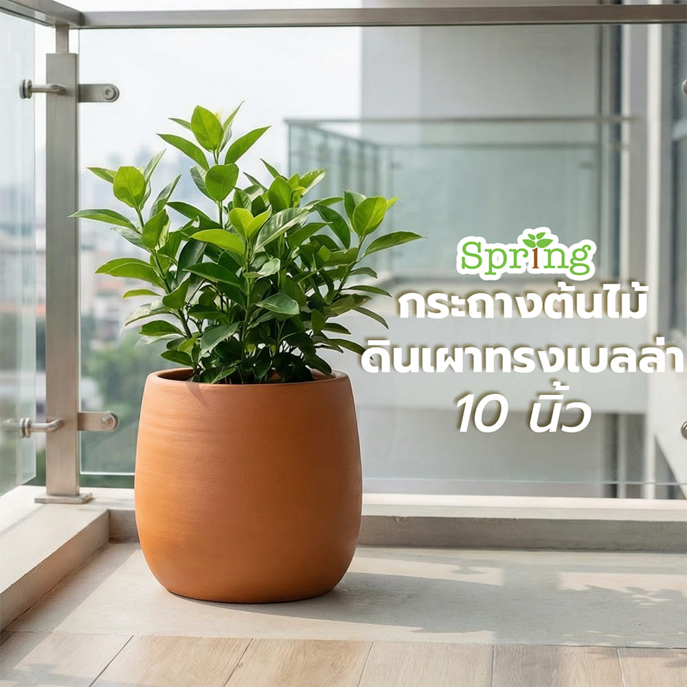 กระถางดินเผาทรงเบลล่า SPRING ไซซ์ S 10 นิ้ว