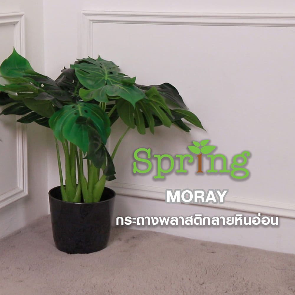 กระถางพลาสติก SPRING MORAY 21 ซม. สีเทา