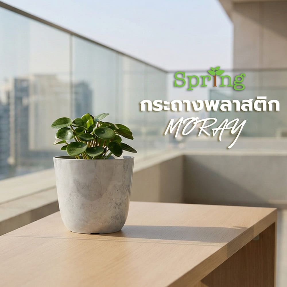 กระถางพลาสติก SPRING MORAY 21 ซม. สีขาว