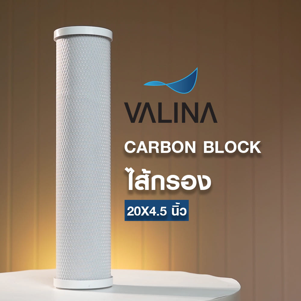 ไส้กรอง VALINA CARBON BLOCK 20X4.5 นิ้ว