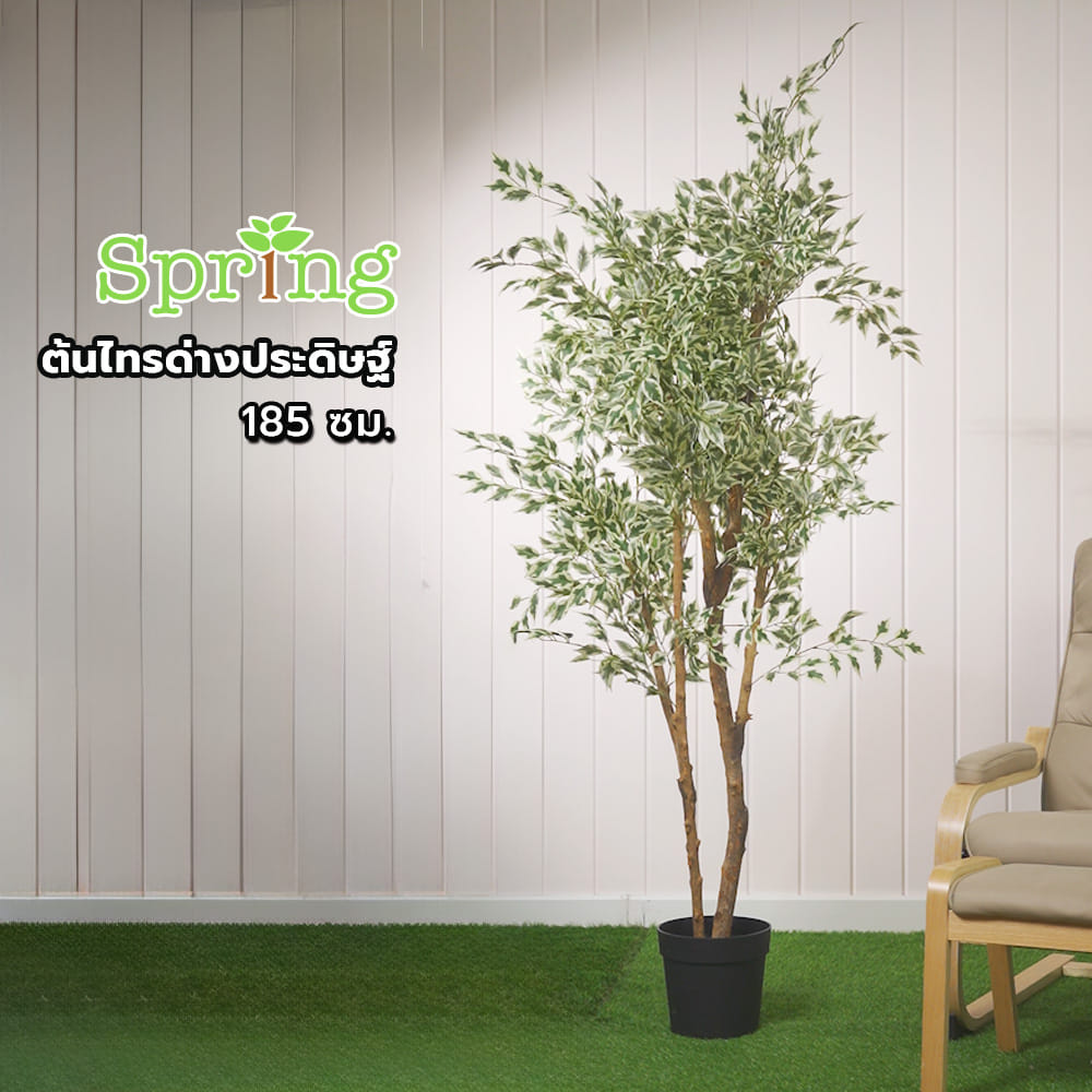 ต้นไทรด่างประดิษฐ์ SPRING 185 ซม.