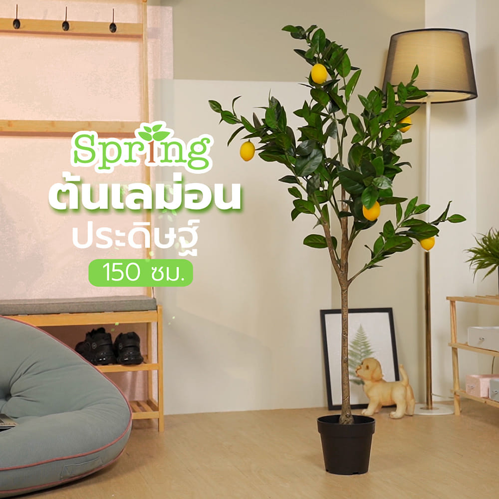 ต้นเลม่อนประดิษฐ์ SPRING 150 ซม.