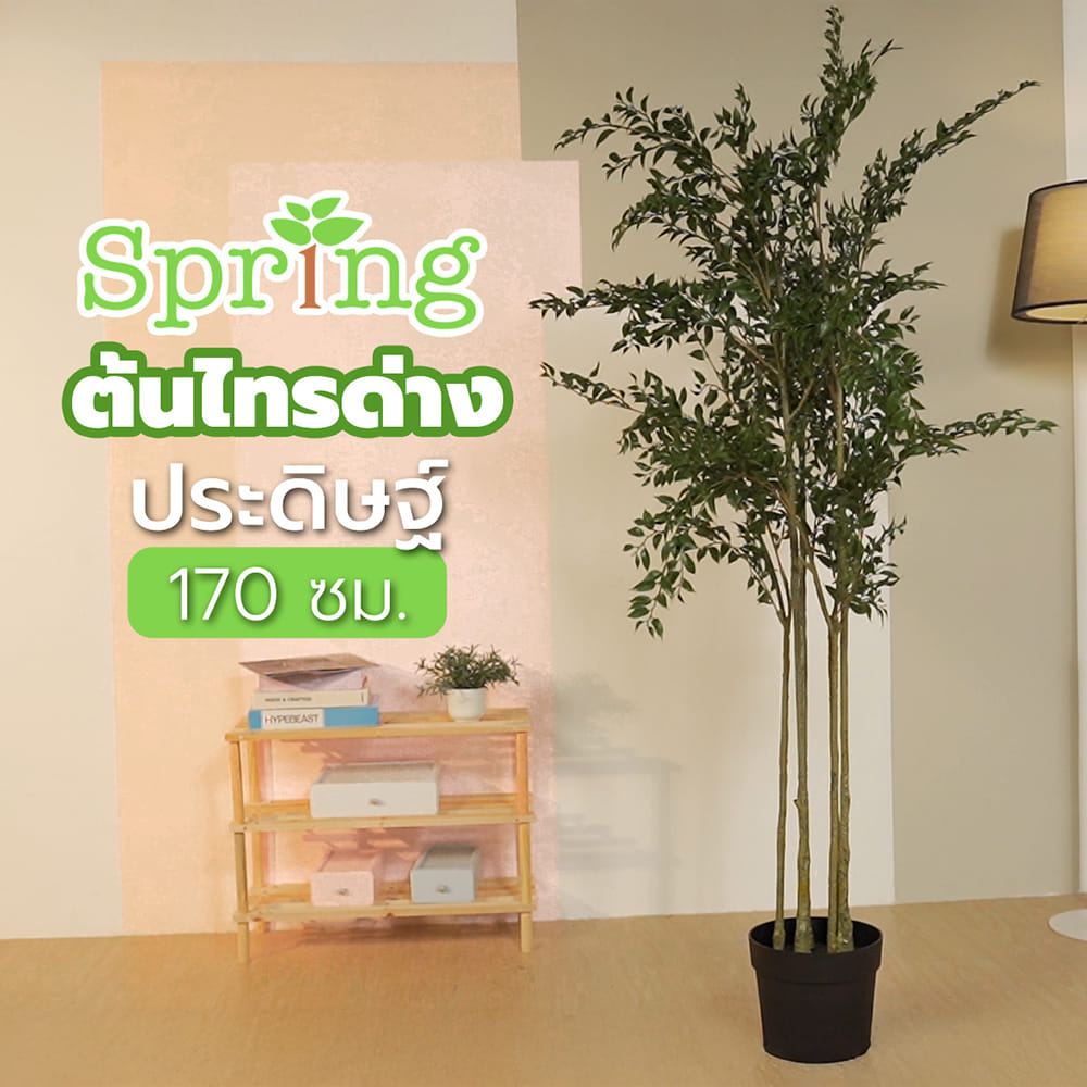 ต้นไทรด่างประดิษฐ์ SPRING 170 ซม.