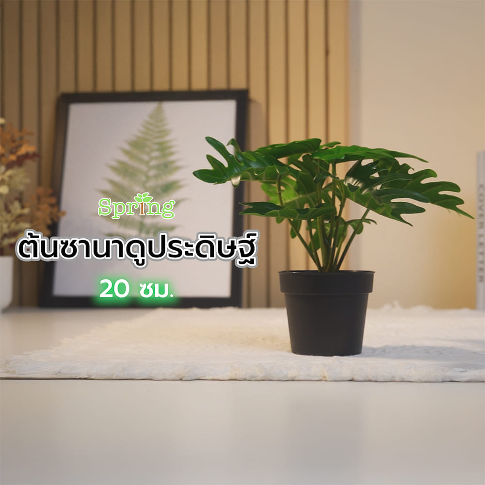 ต้นซานาดูประดิษฐ์ SPRING 20 ซม.