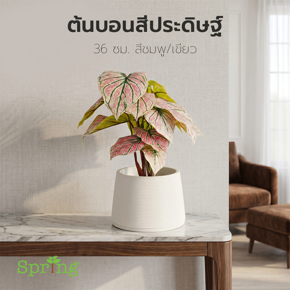 ต้นบอนสีประดิษฐ์ SPRING 36 ซม. สีชมพู/เขียว