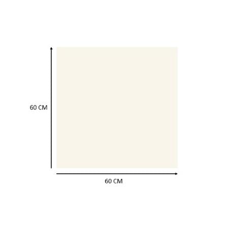 FOSHAN WANTA FLOORTILE 60X60CM PURE GRANITO IVORY 1.44M2