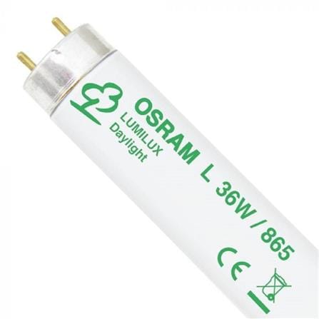 T8 L36W/865 CDL (LUMILUX) 4FT OSRAM