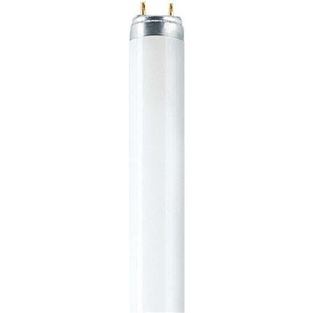OSRAM LUMILUX T8 TUBE L36W/840 C00L WHITE 4FT