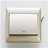 20A 1GANG 1WAY DOUBLE-POLE SWITCH SIMON 52023B CC CHAMPAGNE