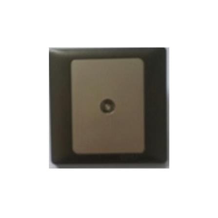 SIMON 1 GANG TV OUTLET 55111-CM CHAMPAGNE MATTE BLACK