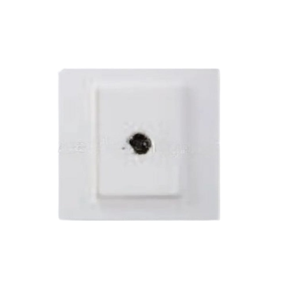 SIMON 1 GANG F-CONNECTOR/ASTRO V59114 WHITE