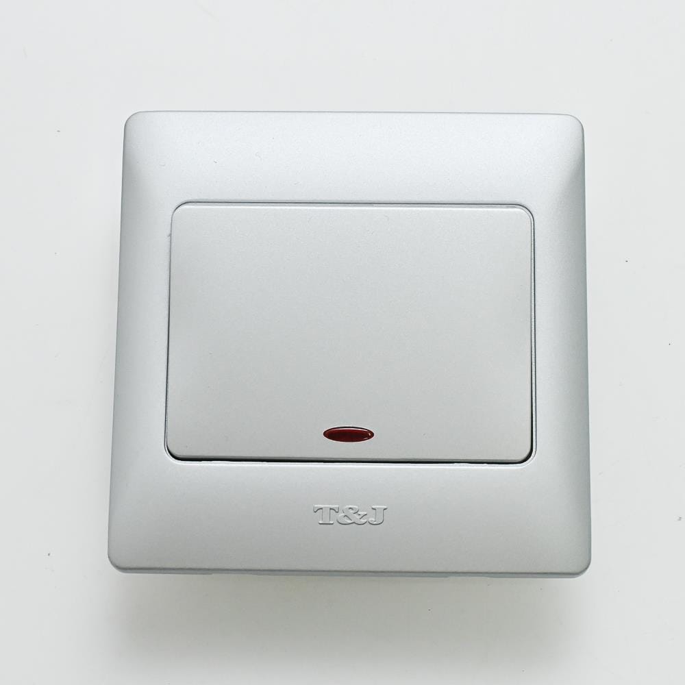 20A 1G DP SWITCH W/NEON K271L-DP-MSL T&J